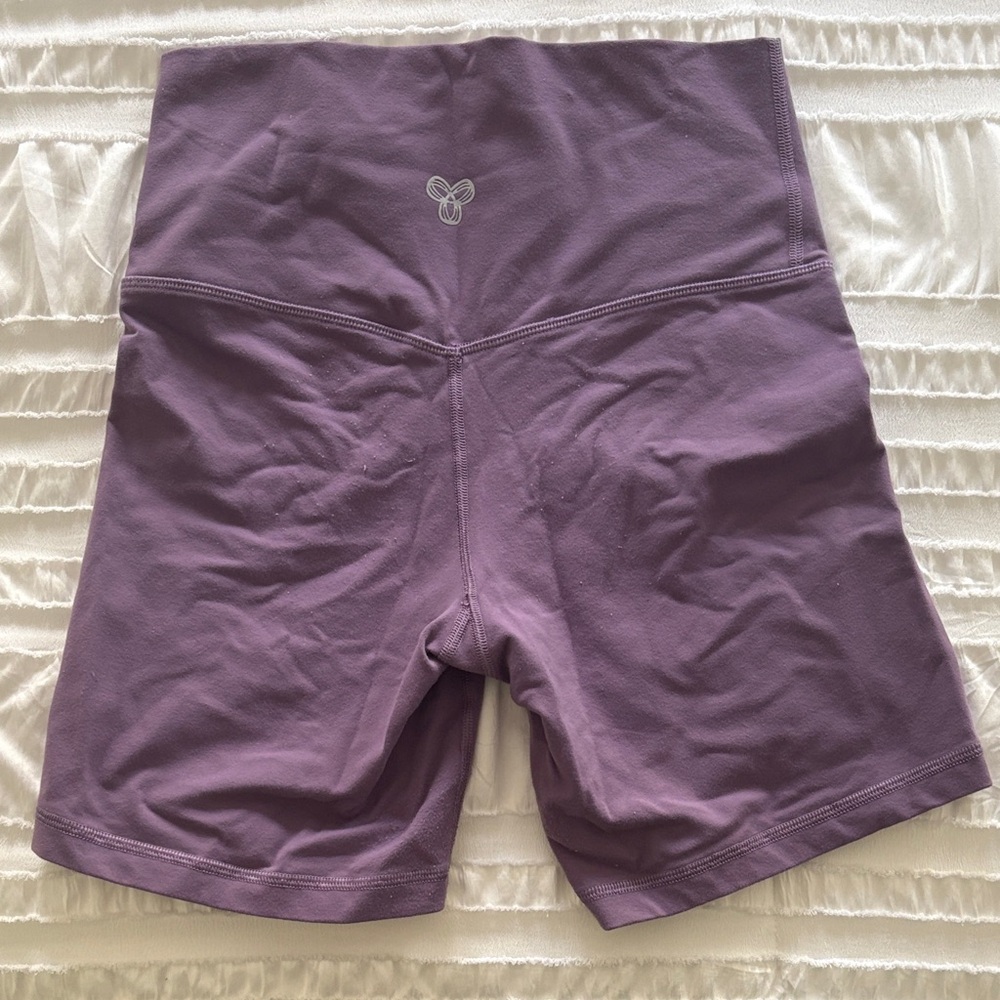 Aritzia TNA Action Purpe Bike Shorts